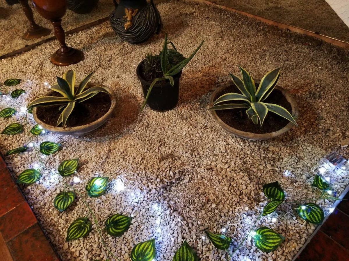 Casa Magnolia: Amplia Y Comoda,la Mejor Ubicacion Holiday home Salta